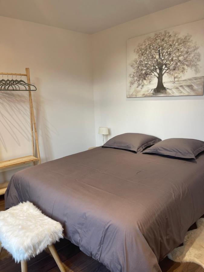 Les Appartements Du Cep'T Mazamet Exterior photo